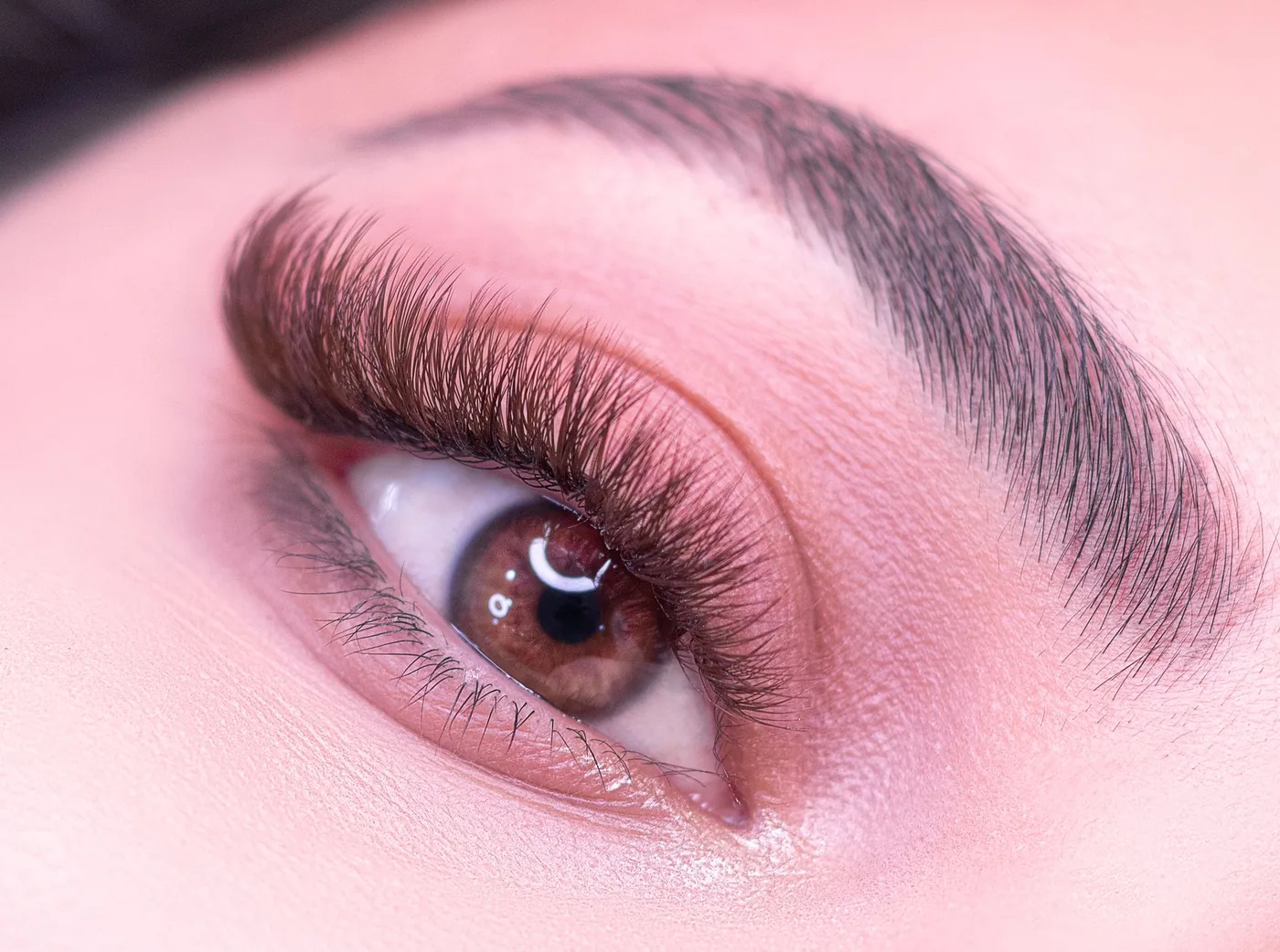Fein gezeichnete Augenbraue nach der Permanent-Make-up-Behandlung